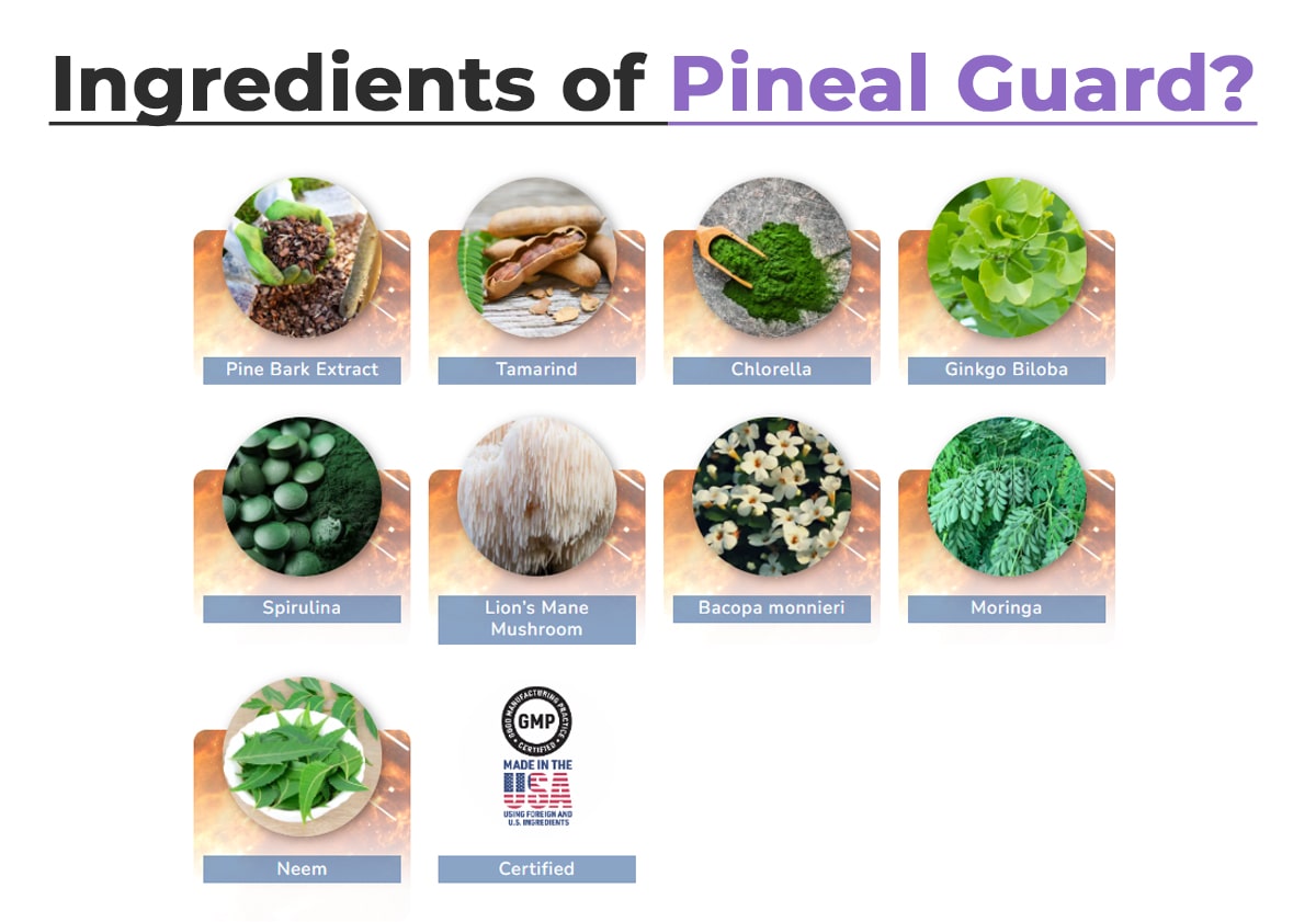 Pineal Guard Ingredients